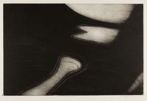 The Lake by the Bog<br><span>1991, 45 x 68cm, Etching ed 45</span>