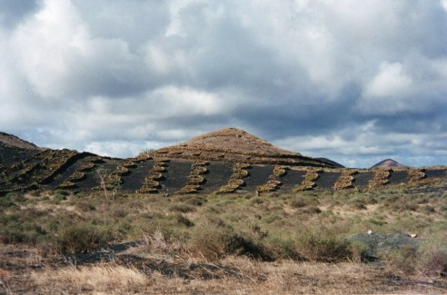 Lanzarote 1<br><span></span>