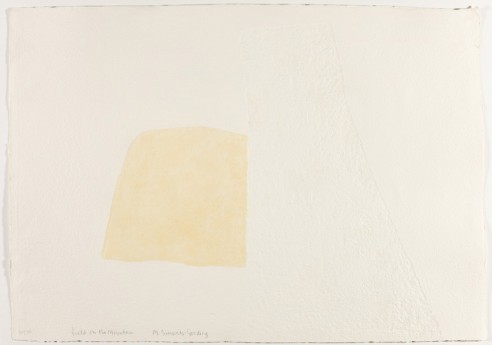 Field on the mountain<br><span>1999 ed. 48, 69 x 97cm, Carborundum</span>